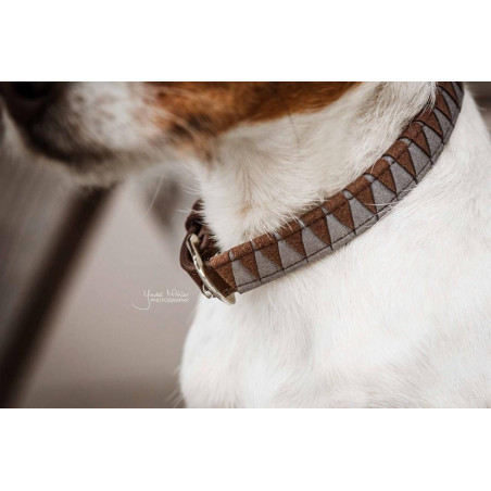 Collier pour chien Triangle Kentucky Brun