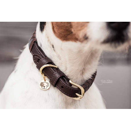 Collier pour chien Triangle Kentucky Brun