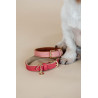 Collier pour chien Vegan Leather Kentucky - Rouge