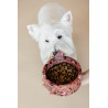 Gamelle pour chien en pierre Terrazzo Kentucky - Brun