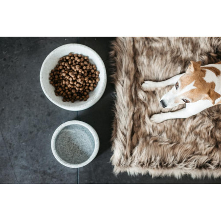 Gamelle pour chien Granit Kentucky Gris