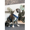 Harnais pour chien Active Velvet Kentucky - Navy
