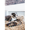 Laisse pour chien en Perles faites-main Kentucky - Orange