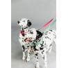 Laisse pour chien Jacquard Kentucky - Rose