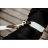 Laisse pour chien Jacquard Kentucky - Bleu clair