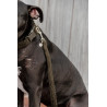 Laisse pour chien Teddy Fleece 120 cm Kentucky - Vert sapin
