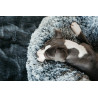 Lit pour chien confort Donut Kentucky - Gris