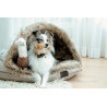 Lit pour chien Igloo Kentucky - Brun
