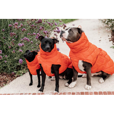 Manteau d'hiver pour chien Pina Kentucky Orange