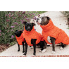 Manteau d'hiver pour chien Pina Kentucky - Orange
