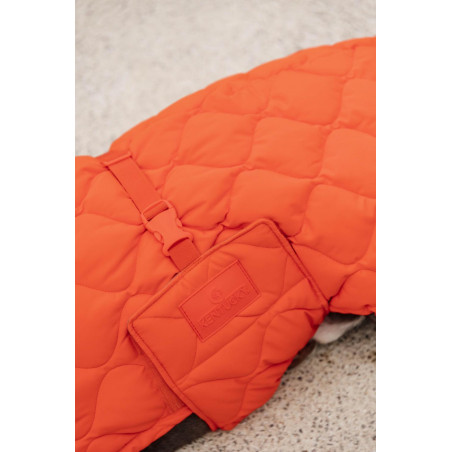 Manteau d'hiver pour chien Pina Kentucky Orange