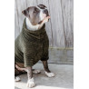 Pull Pour Chien Teddy Fleece Kentucky - Vert sapin