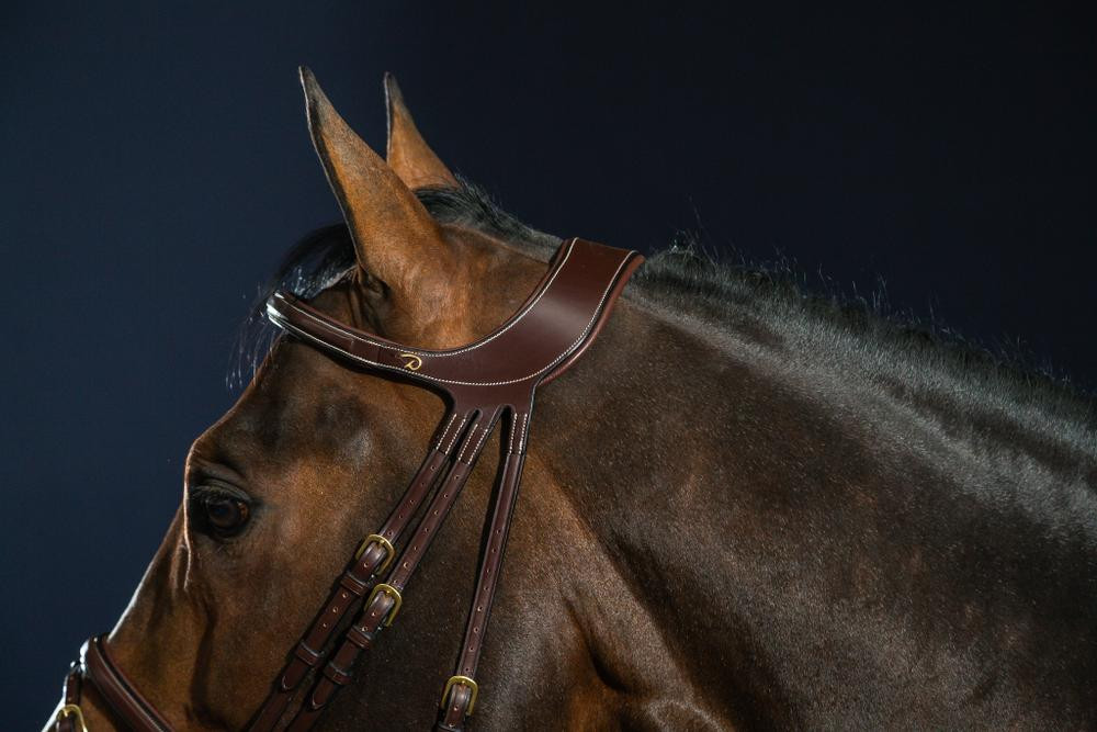 Bridon Différence D Collection by Dy'on Noir Bridon Différence D Collection by Dy'on Noir