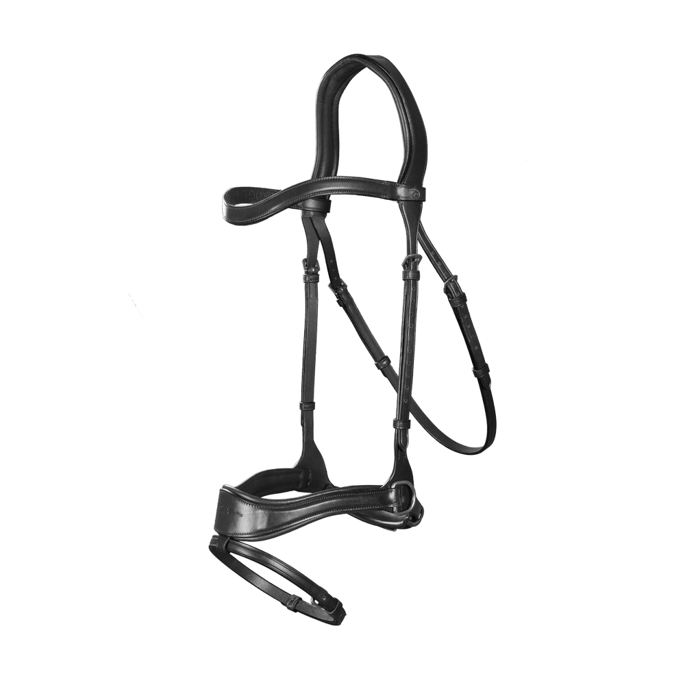 Bridon D Motion New English Collection by Dy'on