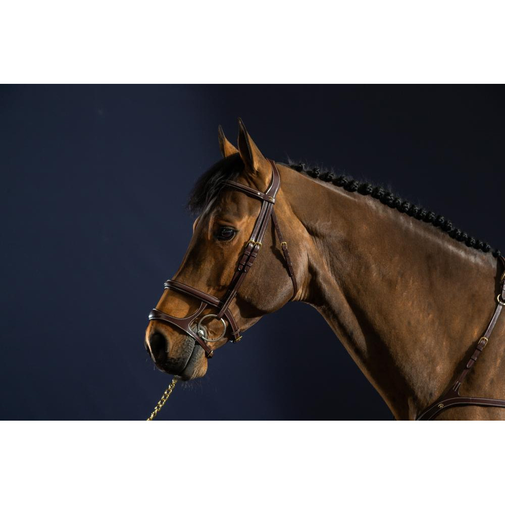 Muserolle Combinée – LR SELLERIE