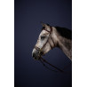 Bridon Hackamore New English Collection by Dy'on - Brun