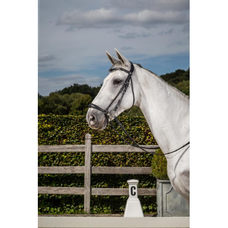 Bridon Muserolle Allemande New English Collection by Dy'on