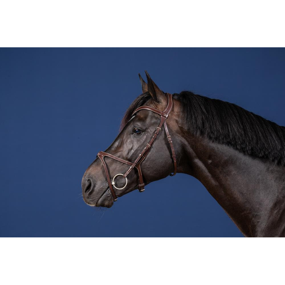 Bridon anatomique X-FIT Dy'on Collection
