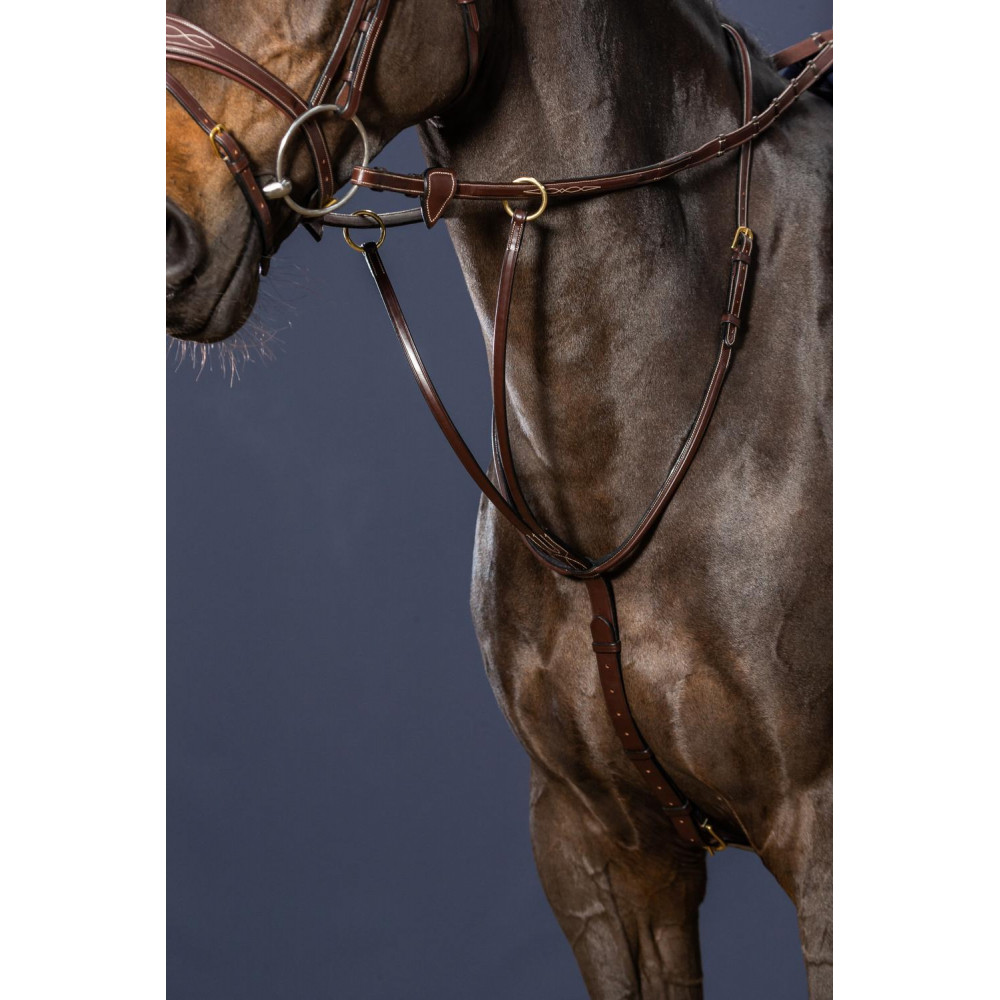 Equipride Martingale en cuir à 3 points élastique (poney, marron