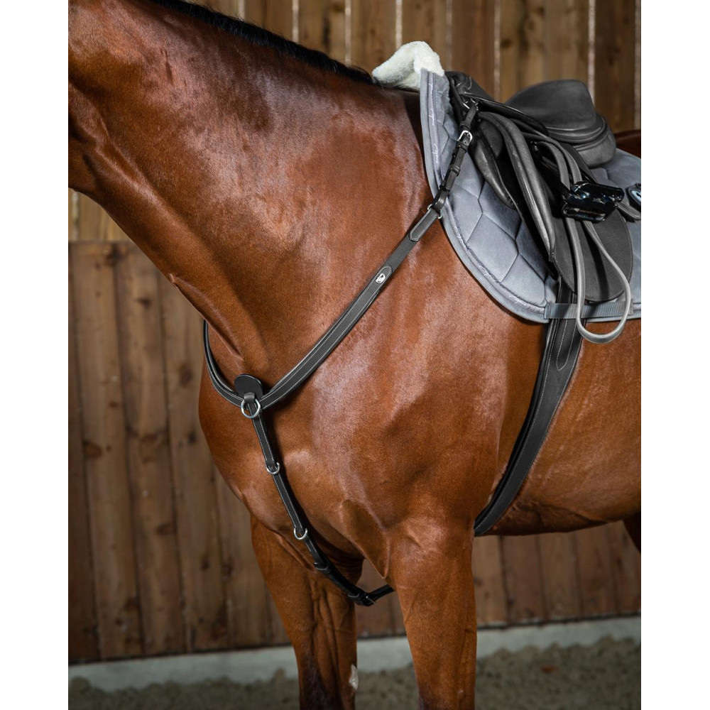Collier de chasse havane Norton Pro | OHLALA