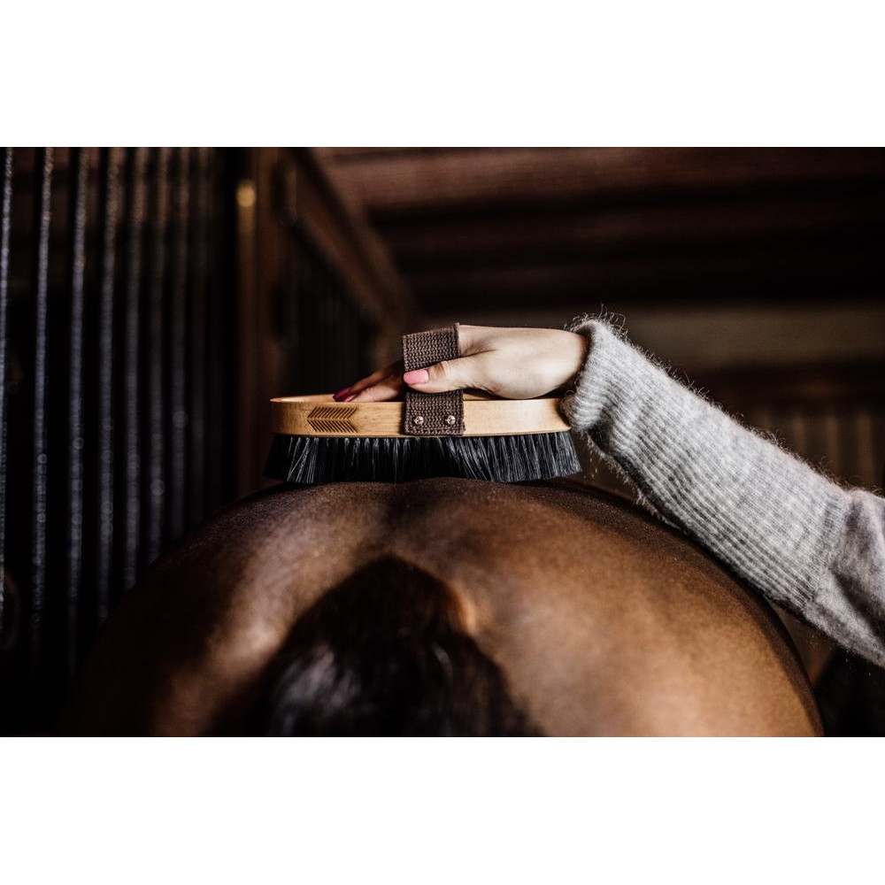 Brosse à Dandy Equi-Essentials - Dos En Bois - Taille Large 8 - Pour Cheval