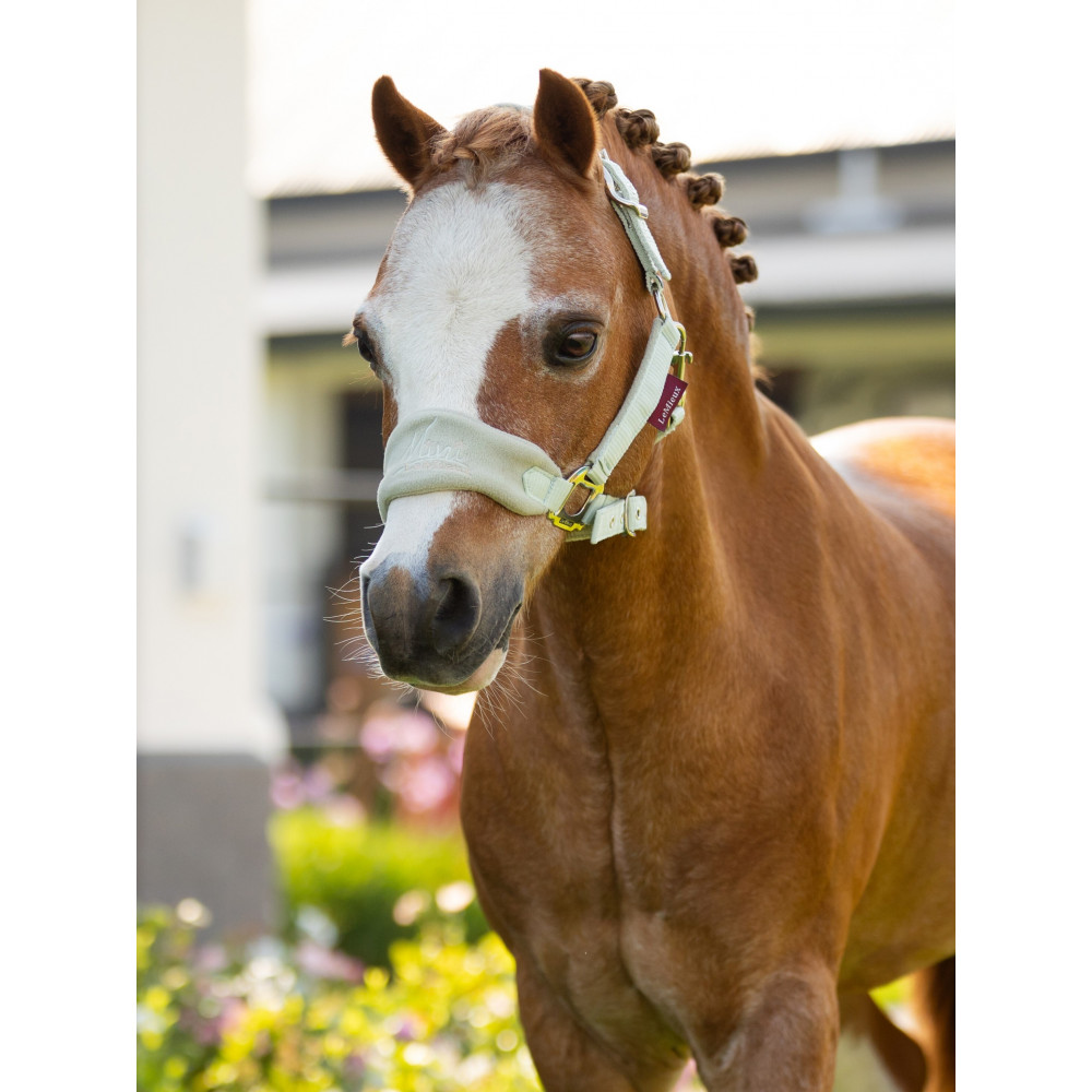 WIN a mini LeMieux pony bundle | Pony Magazine