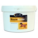 Muscle Builder Horse Master