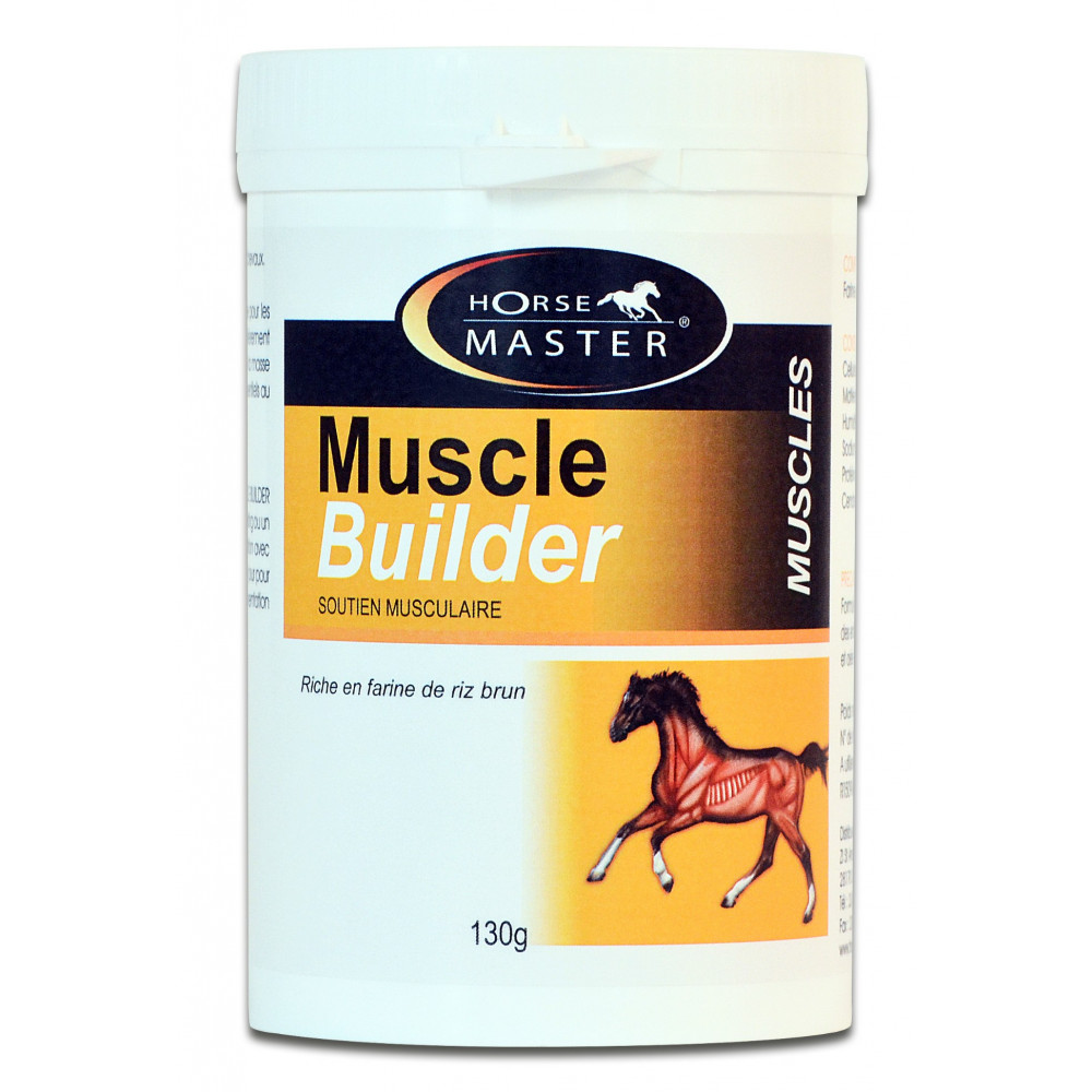 Muscle Builder Horse Master. Muscles du cheval
