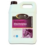 Equisport Electrolytes Horse Master 5 L