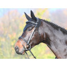 Bridon Carat Jump'In One Premium - Noir