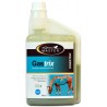 Gastrix Horse Master 946 mL Gastrix Horse Master 946 mL