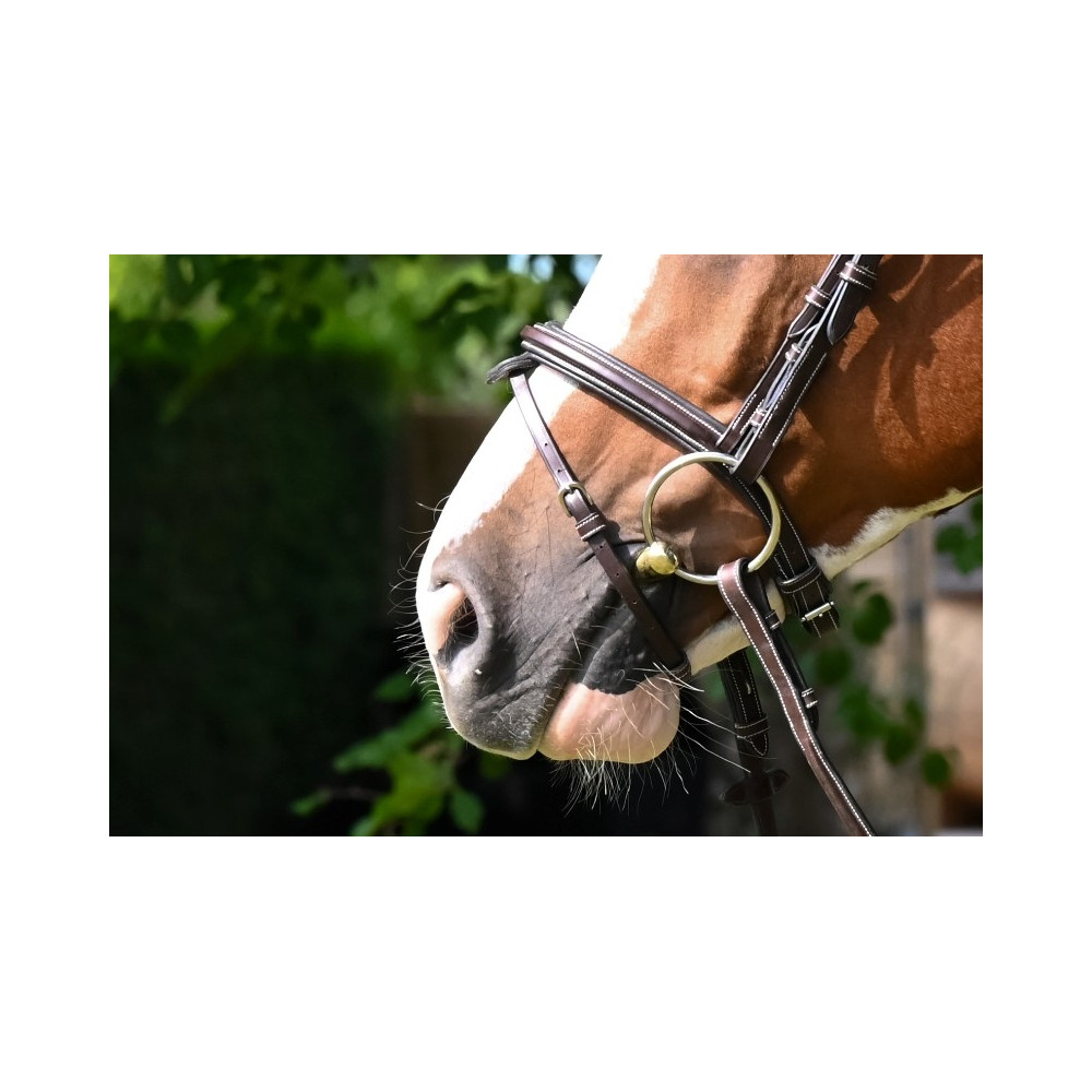 Ridex Leather Noseband For Bridle With Flash