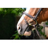 Noseband Jump'in - Noir