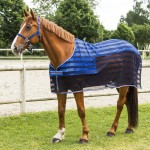CHEMISE EQUI-THÈME "RAFRAICHISSANTE" CHEMISE EQUI-THÈME "RAFRAICHISSANTE"