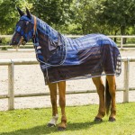CHEMISE EQUI-THÈME "RAFRAICHISSANTE" CHEMISE EQUI-THÈME "RAFRAICHISSANTE"