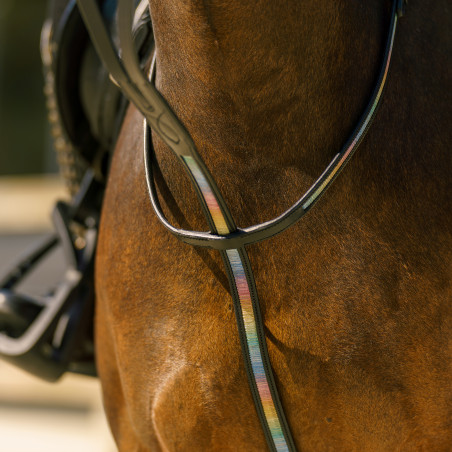 Martingale Imperial Riding Rainbow