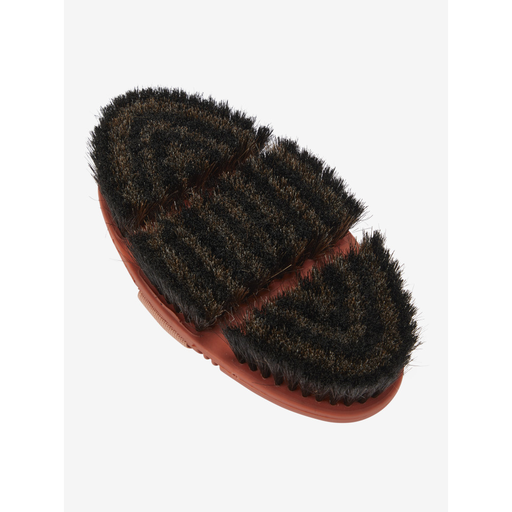 Brosse en crin de cheval antique et brosse en poils de