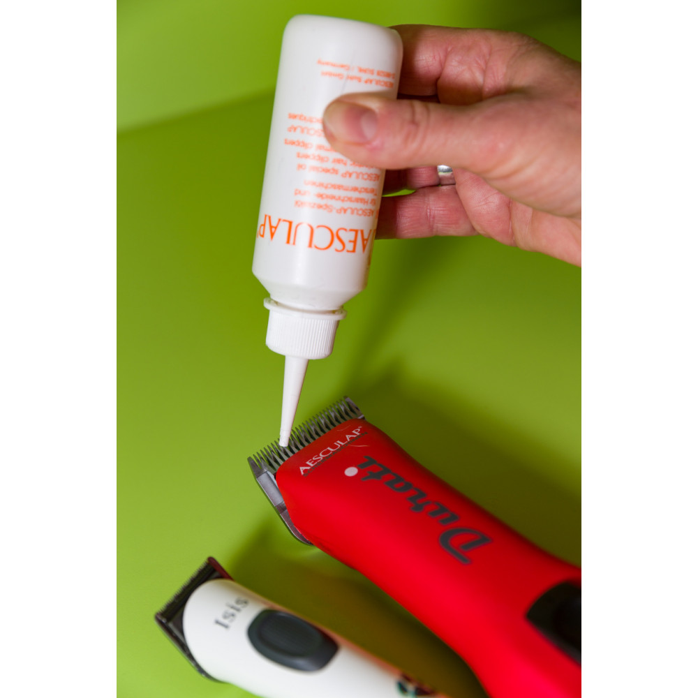 PLAYMOBIL – Lot Camping, Camping-car Et Maison De Vacances – Plusieurs Sets Family Fun