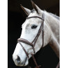 Bridon muserolle combinée Collegiate - Marron