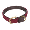 Collier pour chien Weatherbeeta cuir tressé - Marron / bordeaux