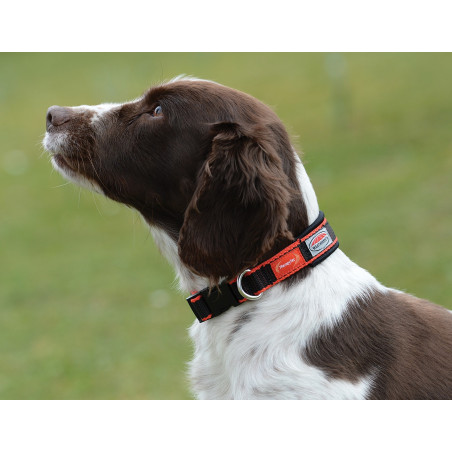 Collier pour chien Weatherbeeta Therapy-Tec