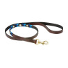 Laisse pour chien Weatherbeeta cuir Polo - Marron cowdray / bleu / bleu