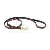 Laisse pour chien Weatherbeeta cuir Polo - Marron cowdray / violet / violet