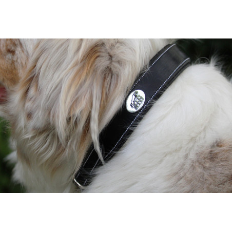 Collier pour chien Jump'In