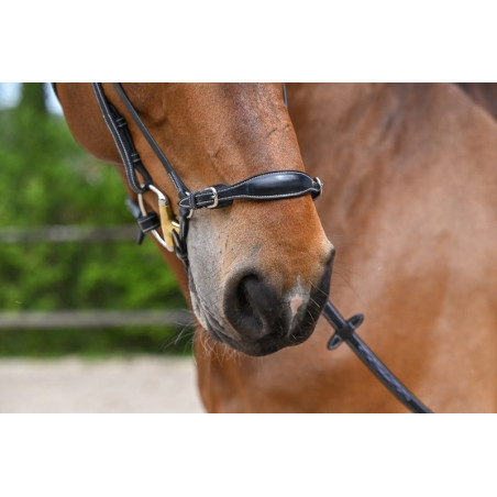 Muserolle allemande Jump'In Week