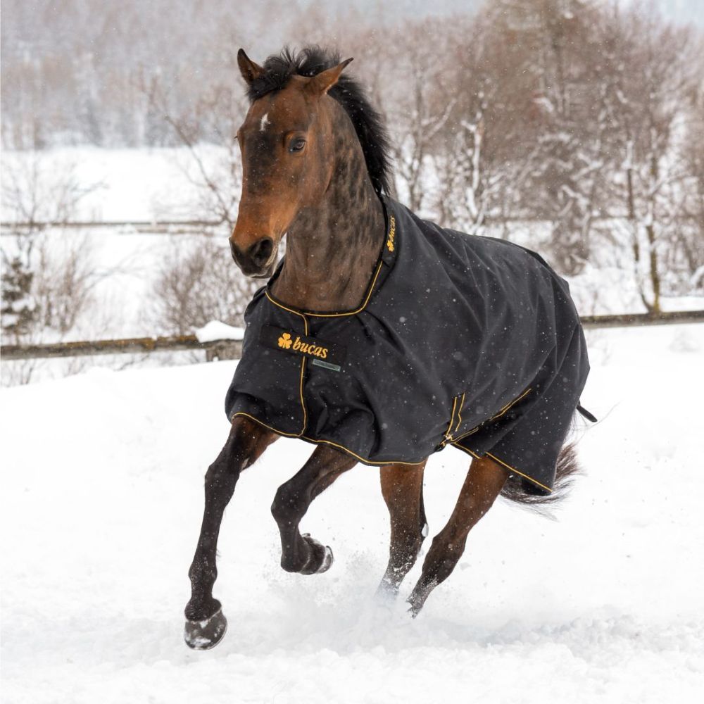 Couverture équitation d'extérieur imperméable : Devis sur - Couverture d