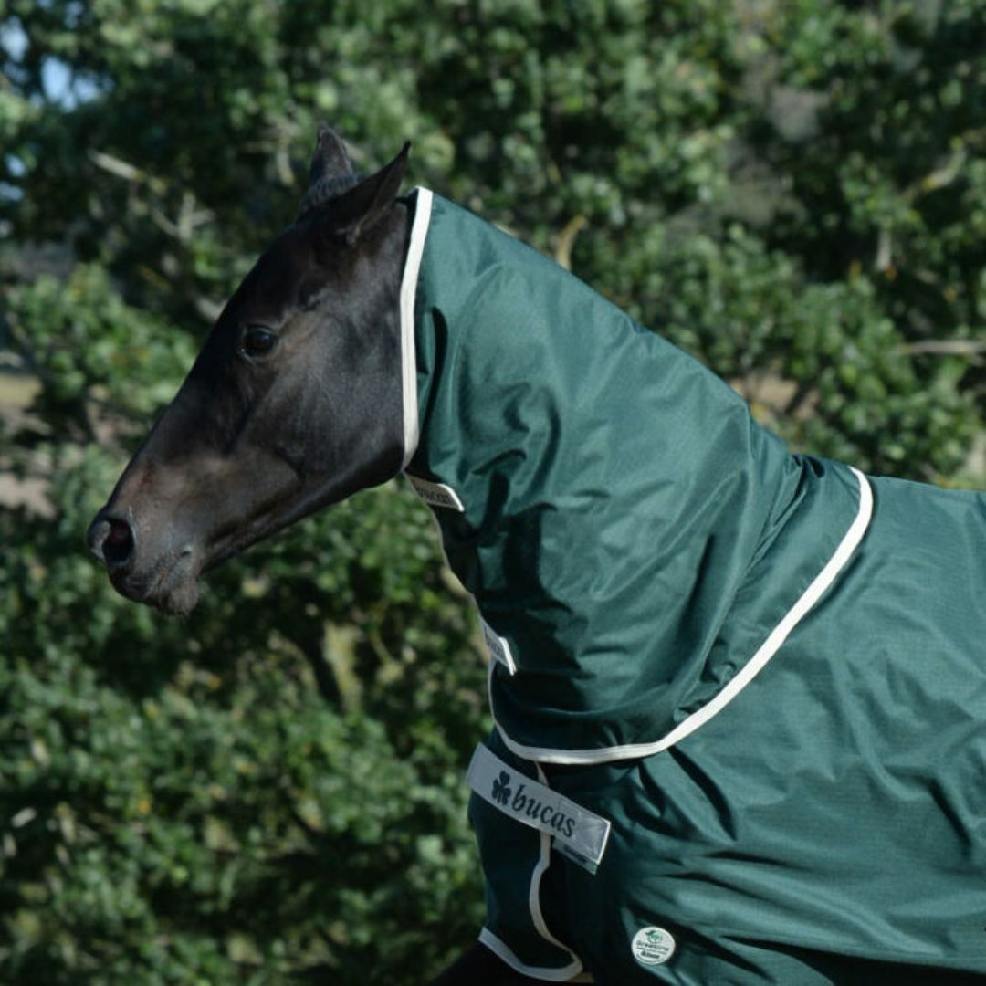 Couvre-cou Bucas Greenline Vert / crème