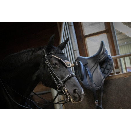 Bride de dressage vernie Jump'In week