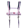 Harnais HKM Funny Horses Hearts - Rose / bleu foncé