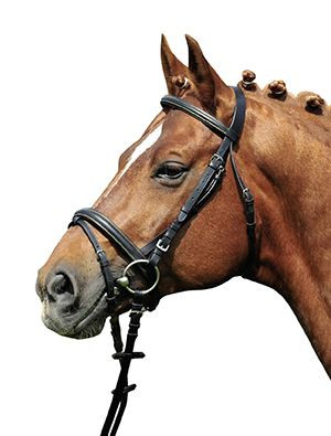 Bridon Lou HKM Marron Bridon Lou HKM Marron